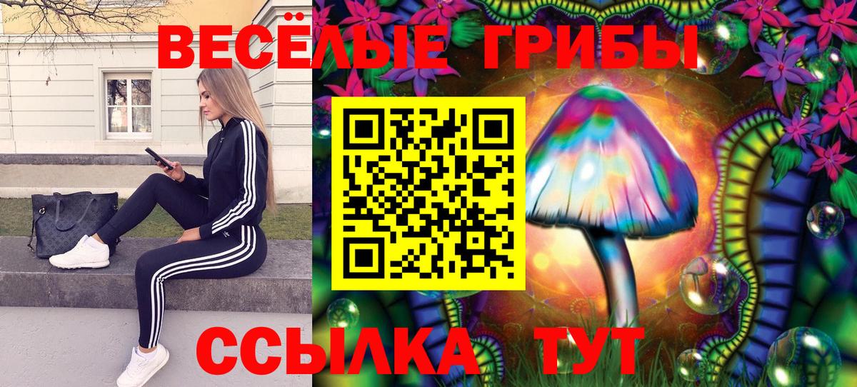 Галлюциногенные грибы ЛСД Советск