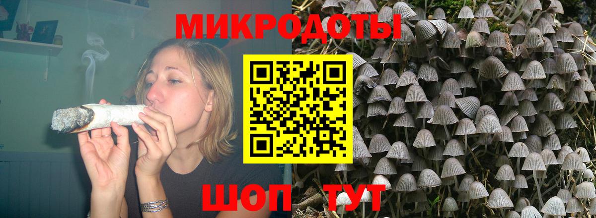 дарнет шоп  Вход с VPN  Советск  Галлюциногенные грибы GOLDEN TEACHER 